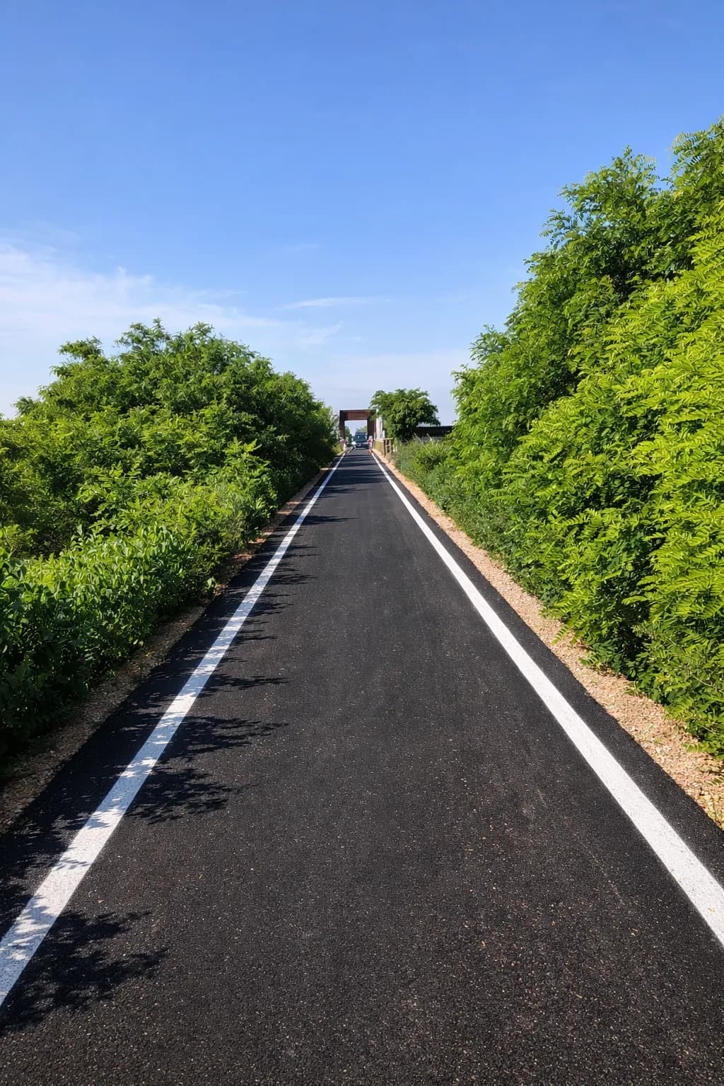 Ciclovia n°15 - Pista ciclabile sul sedime dell’ex ferrovia Treviso-Ostiglia tratto funzionale da Sossano (VI) a Cologna Veneta (VR) — foto 3